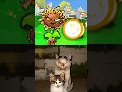Guess "That" Sunflower's Level🌻- w/ @kif.x (PVZ) #pvz #plantsvszombies thumbnail