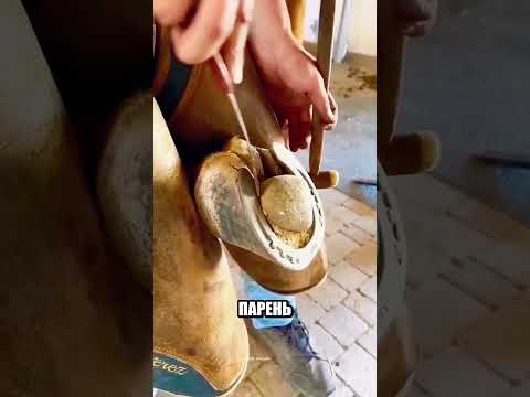 Все думали конь бешеный но НЕТ??? thumbnail