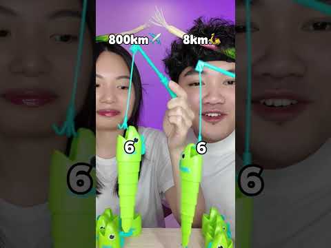 Thi câu cá chọn đi chơi phố cổ ở đâu? thumbnail
