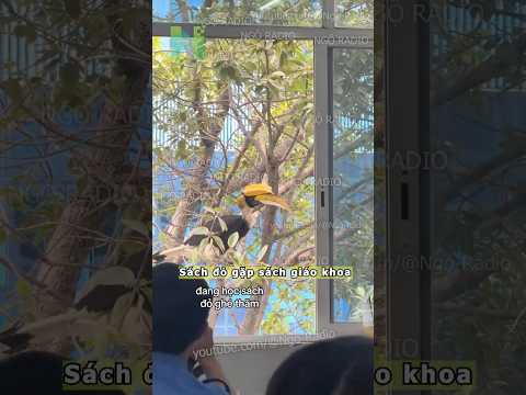 Sách đỏ gặp sách giáo khoa thumbnail