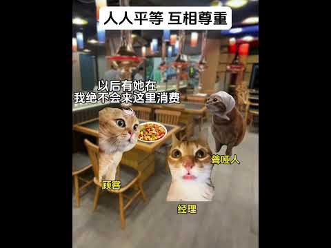 老板这种人就活该发财#猫meme #正能量 thumbnail
