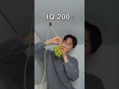 IQ 200 vs Food thumbnail