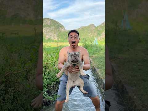 Turning a Teddy Bear Into a Pet-p6#survivalskills #lifehacks #pets thumbnail