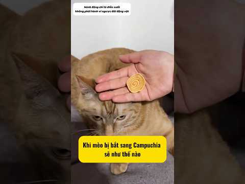 Kiếp này coi như bỏ thumbnail