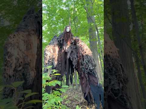 Went for a Hike and found this... WHAT IS IT?!?!? thumbnail