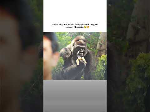 movie releasing on 26 june 2026. #akshaykumar #akshayfans thumbnail