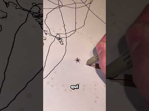 J'ai transformé une araignée en artiste 🕷️🎨 thumbnail