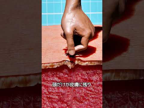 ダニに噛まれたときの対処法 thumbnail