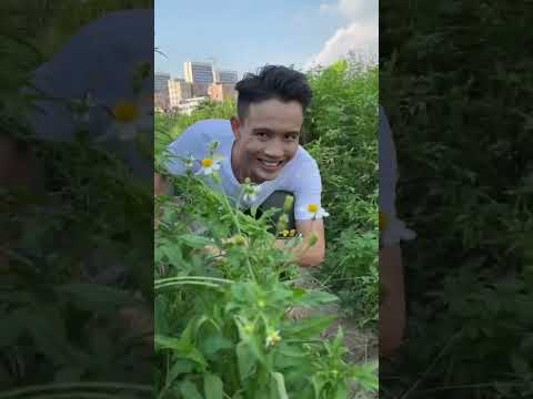 小风千辛万苦躲开妈妈竟然是为了...#shorts #funny #搞笑 thumbnail