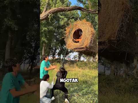 Pria ini bikin sarang burung segede gaban? thumbnail