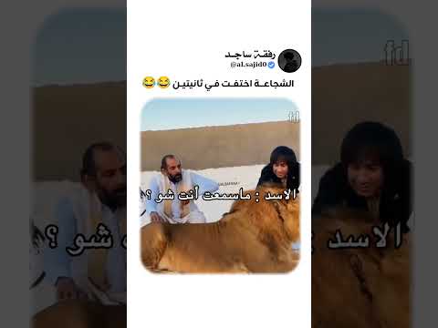 “إحنا أسود!” والأسد سمعه فعلًا 😂 thumbnail