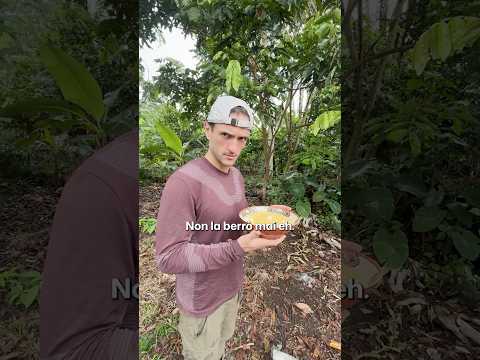 Assaggio la birra fatta con la saliva degli indigeni #shorts #progettohappiness #amazonforest thumbnail