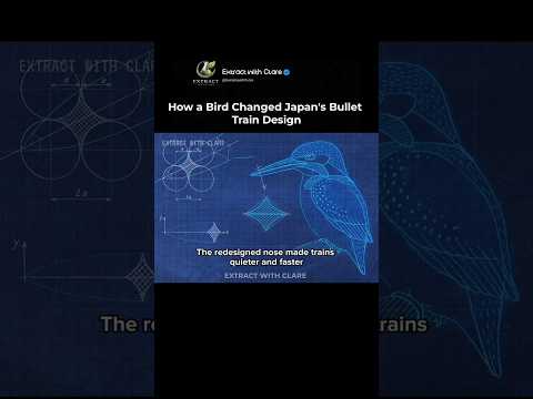 How a Bird Inspired Japan’s Bullet Train ? thumbnail