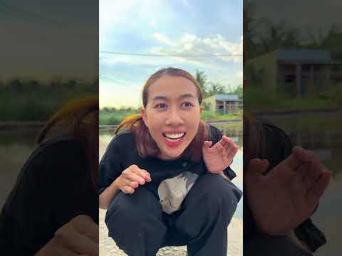 CÂY VÀNG AI ĐỂ DƯỚI ĐẤT #haibadane #shorts thumbnail