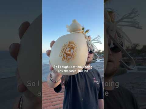 Mystery cheese thumbnail