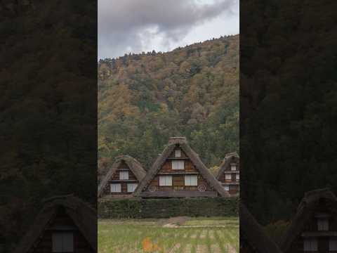 Shirakawa go, Japan, Incredible Destinations #travel #short thumbnail