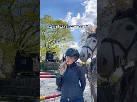 POV: Someone asks if they can ride your horse 🐴👀 #equestrian #horses #horsegirl #horseriding thumbnail