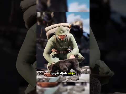 Chú chó thông minh || +1 kiến thức #khampha #kienthucbosung thumbnail