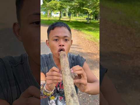 minta bagi permen hiu ehh malah di kasih kasih mangga busuk ihhh thumbnail