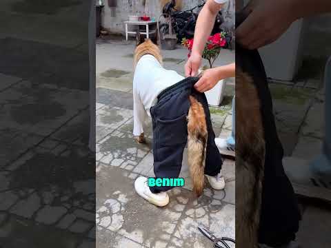 Rıfkıya KIYAFET ?? thumbnail