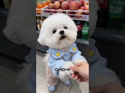 Sonunda elmayı buldum! thumbnail
