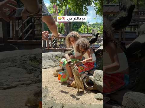أنا هربت🤣🤣 #اكسبلور #viralvideo #shortvideo #viralshort #explorepage thumbnail