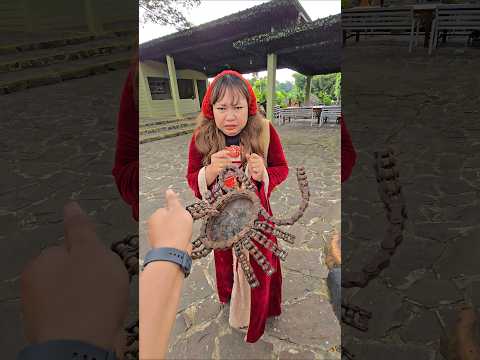 bawang merah ketakutan ngeliat kalajengking ditongsampah #trendingshorts thumbnail