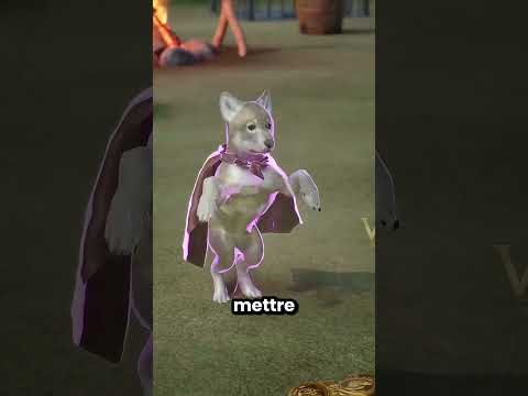 Ce loup s'est échappé et a sauvé tous ses compagnons 😱🤩 thumbnail