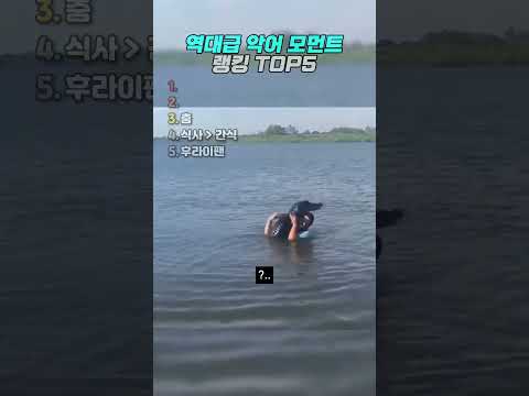 역대급 악어 모먼트 thumbnail