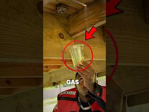 This Guy Tried Wasp Removal Hack thumbnail