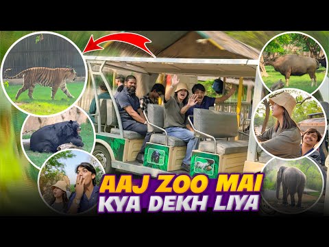 Finally Aaj Itna Bada White Tiger dekh Liya ? thumbnail