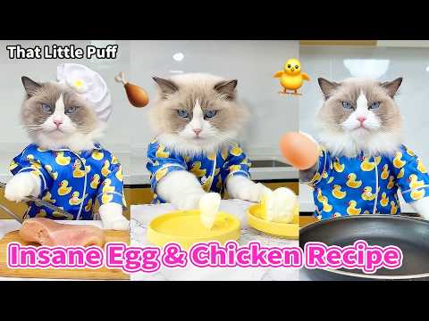 Insane Egg & Chicken Recipes Even Chickens Would Freak Out 🐔 | That Little Puff thumbnail