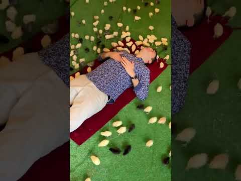 Czn Burak Çiftlik Civcivi thumbnail