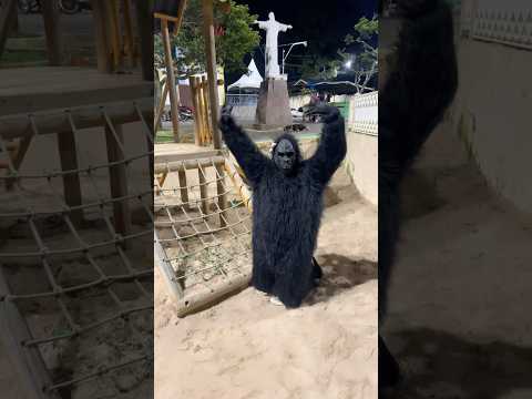 NÃO TEM IDADE 🫪😄🤣 #funny #like #gorilla #viral #comedy #ops #humor #animals #youtubeshorts #memes thumbnail