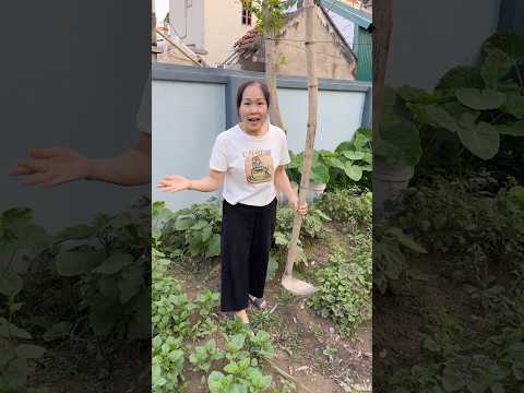 WOA - Món quà bất ngờ ????? #funny #2alay thumbnail