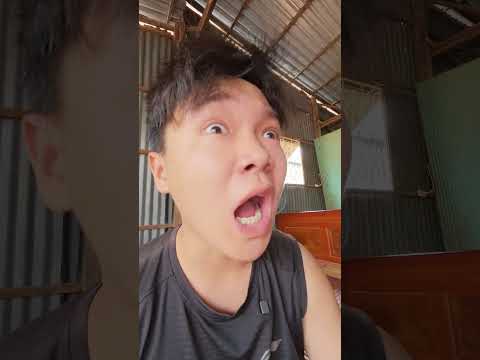 Ngủ Nướng #longcaolanh #htl #viral #shorts thumbnail