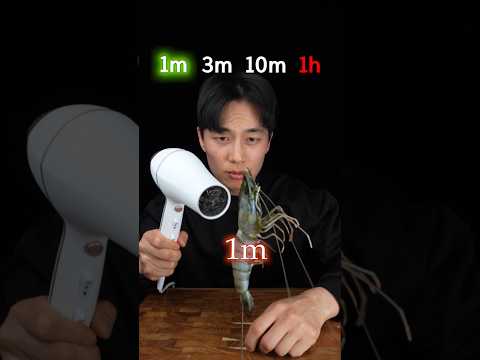 Shrimp vs Hair Dryer thumbnail