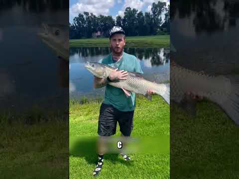 Необычный спор на рыбу удивил ВСЕХ😲🎣💥 thumbnail