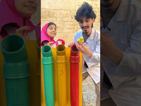 ادخل الكرة الصحيحة لأخذ هدية 😱 وصدمة !!! thumbnail