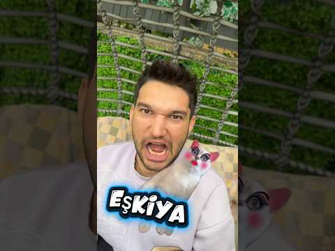 Kızların vs erkeklerin kedilere koyduğu isimler thumbnail