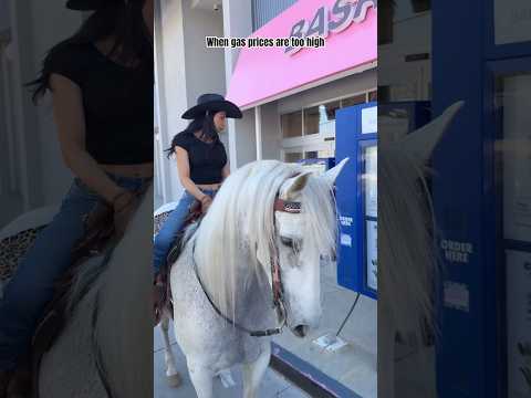 WHEN GAS PRICES ARE TOO HIGH! 🤠😂 #horses #horsepower thumbnail