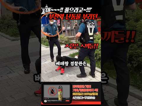 '야~! 풀으라고~!!' 부천역 난동빌런 베테랑 경찰관의 참교육 thumbnail