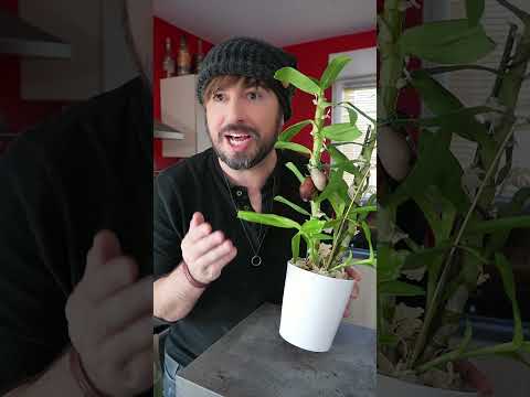 Mais d'où viens le manque de courage chez les garçons ?! thumbnail