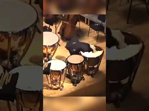 Pertunjukkan Yang Merusak Alat Musik thumbnail