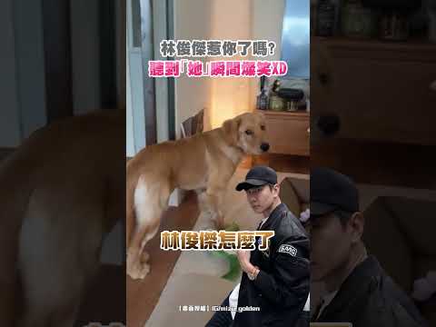 林俊傑惹你了嗎？聽到「她」瞬間燦笑XD #shorts @ChinaTimes thumbnail