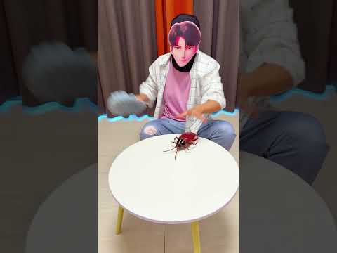 I said stop! thumbnail