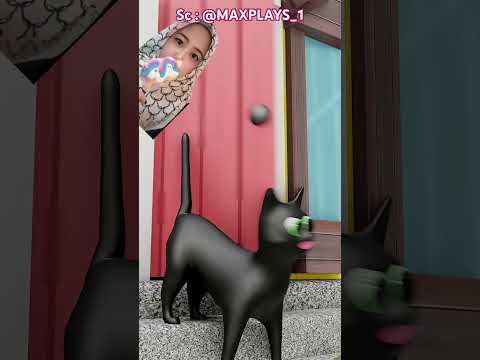 Anak Kucing Lucu 😍 @MAXPLAYS_1 thumbnail