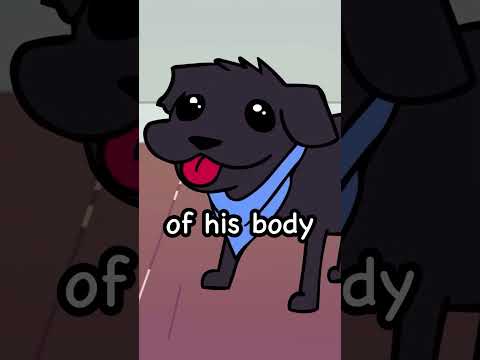 He was ugly.... thumbnail