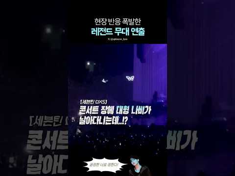 역대급 호평받은 세븐틴 DXS 콘서트 연출 thumbnail
