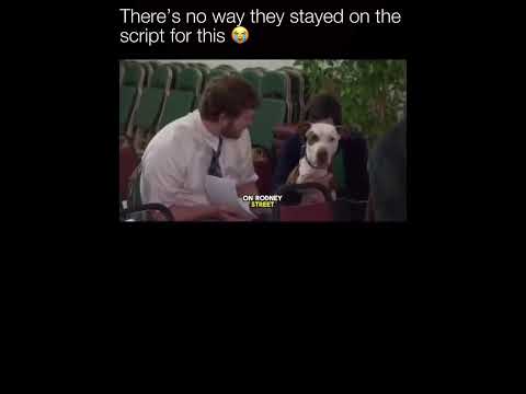 Aubrey Plaza As A Dog BREAKS The Cast Of Parks & Recreation In HILARIOUS Bloopers! thumbnail